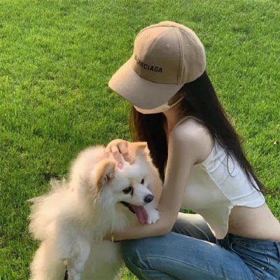 新蝶恋花首屏图