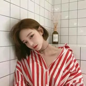 夜行动物封面
